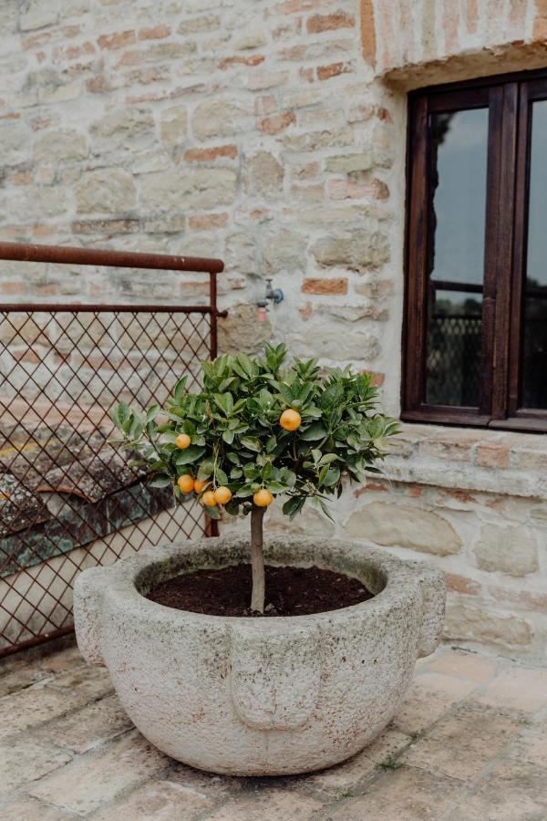 Agriturismo Qui Voglio Monte Roberto Exterior foto